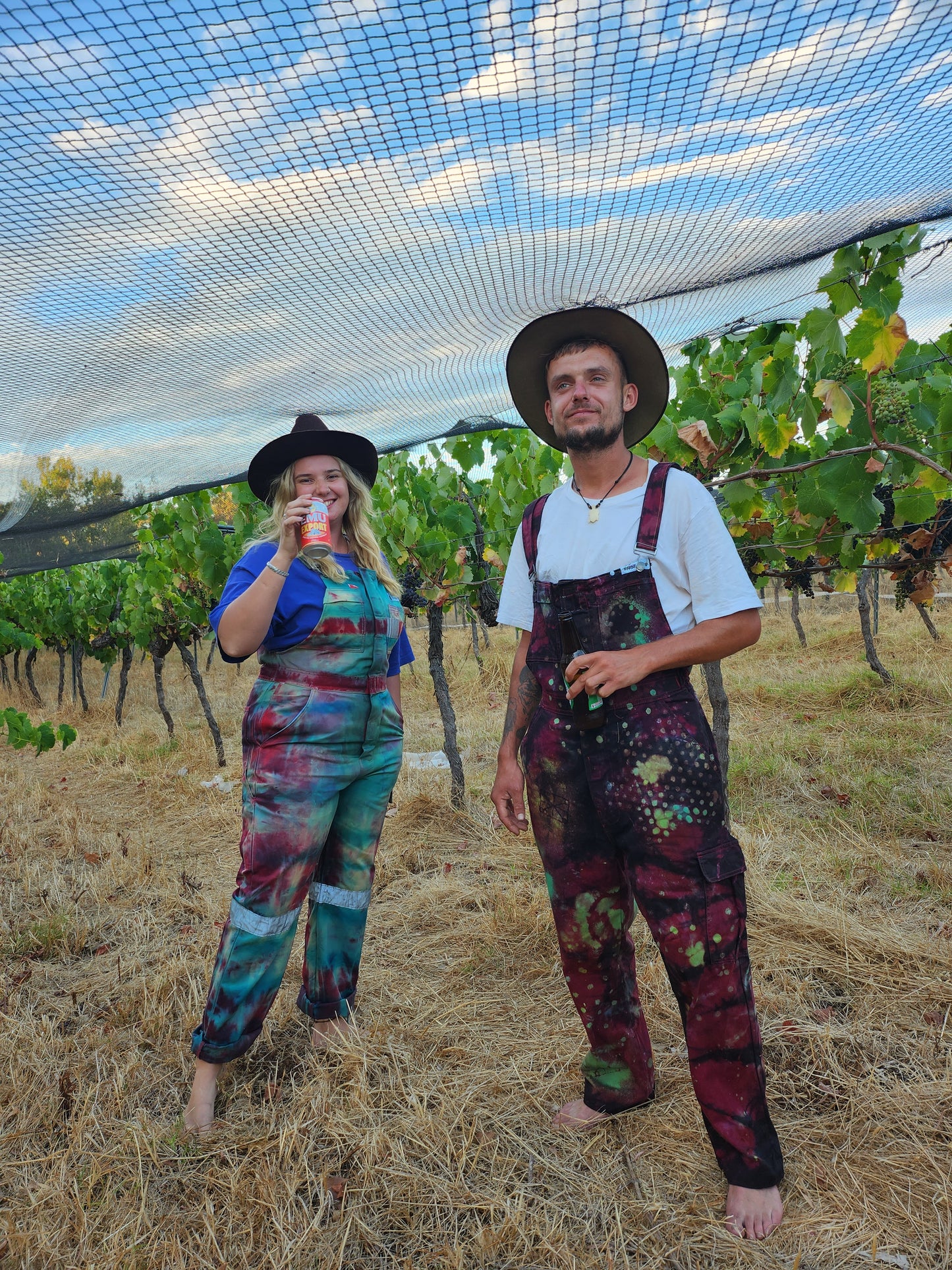 farmhands drinking beer in a row of grape vines under a net