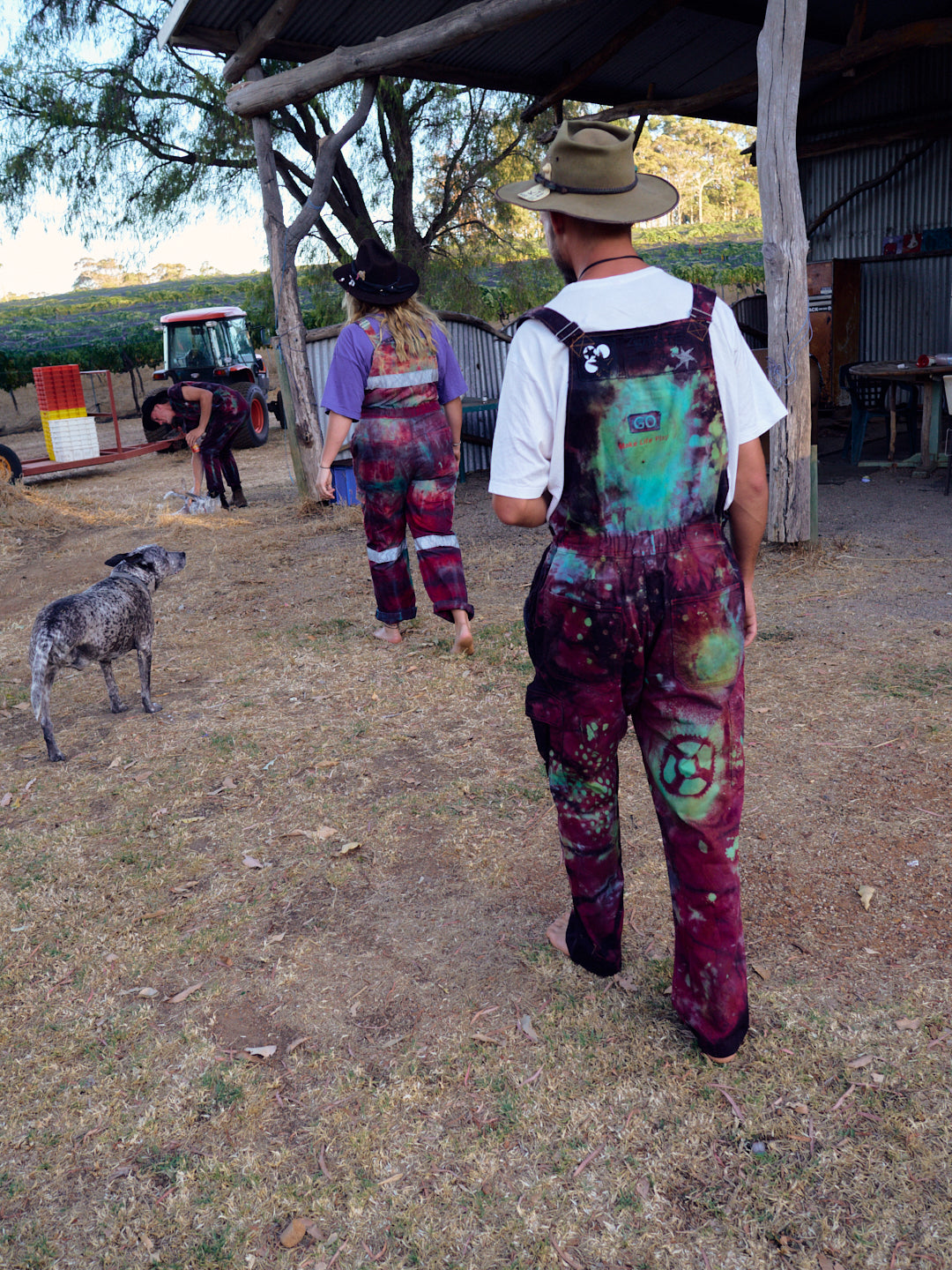 Galaxy Bib and Brace Overalls